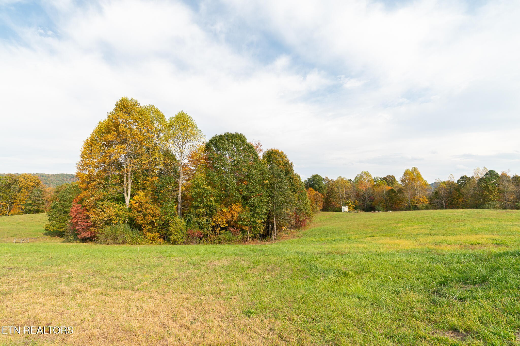 3767 Phillips Flats Rd Property Photo 34