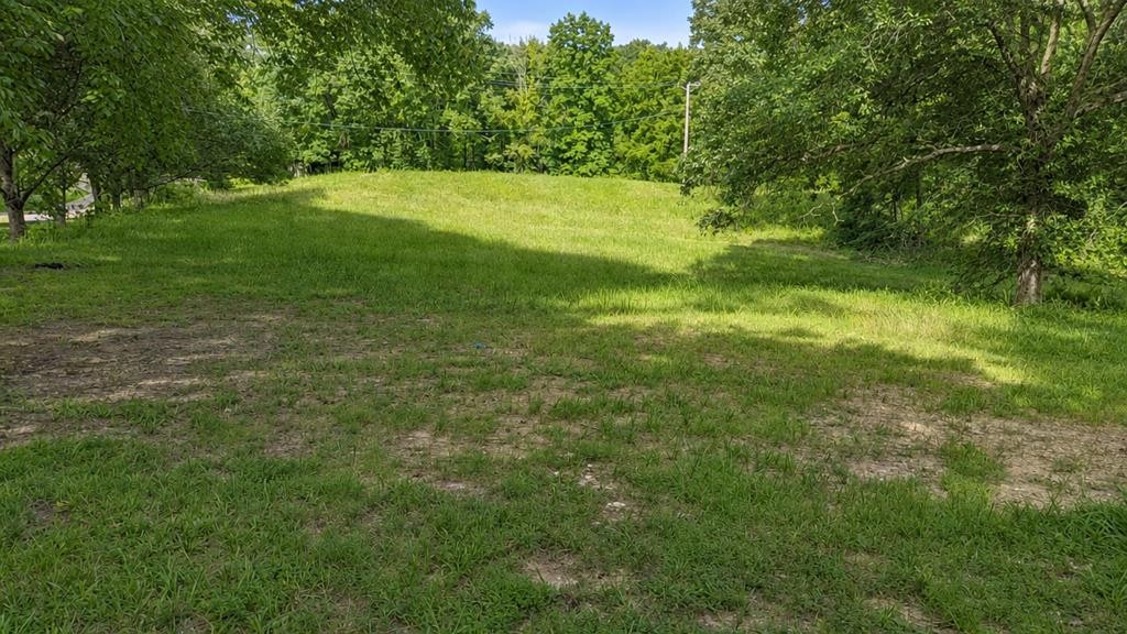 165 Smith Ln Property Photo 30