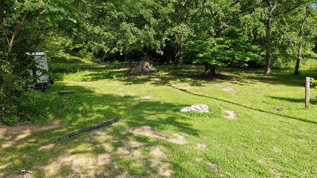 165 Smith Ln Property Photo 33