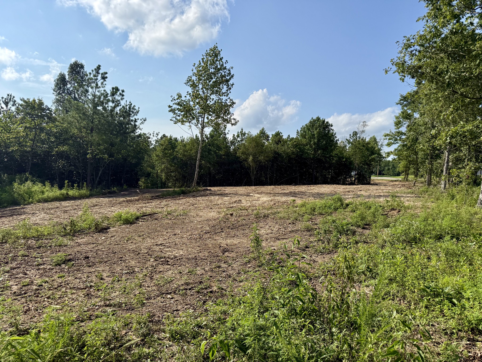0 Hwy 231 Property Photo 1