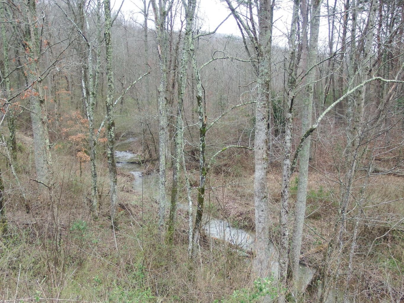0 Main St Property Photo 3