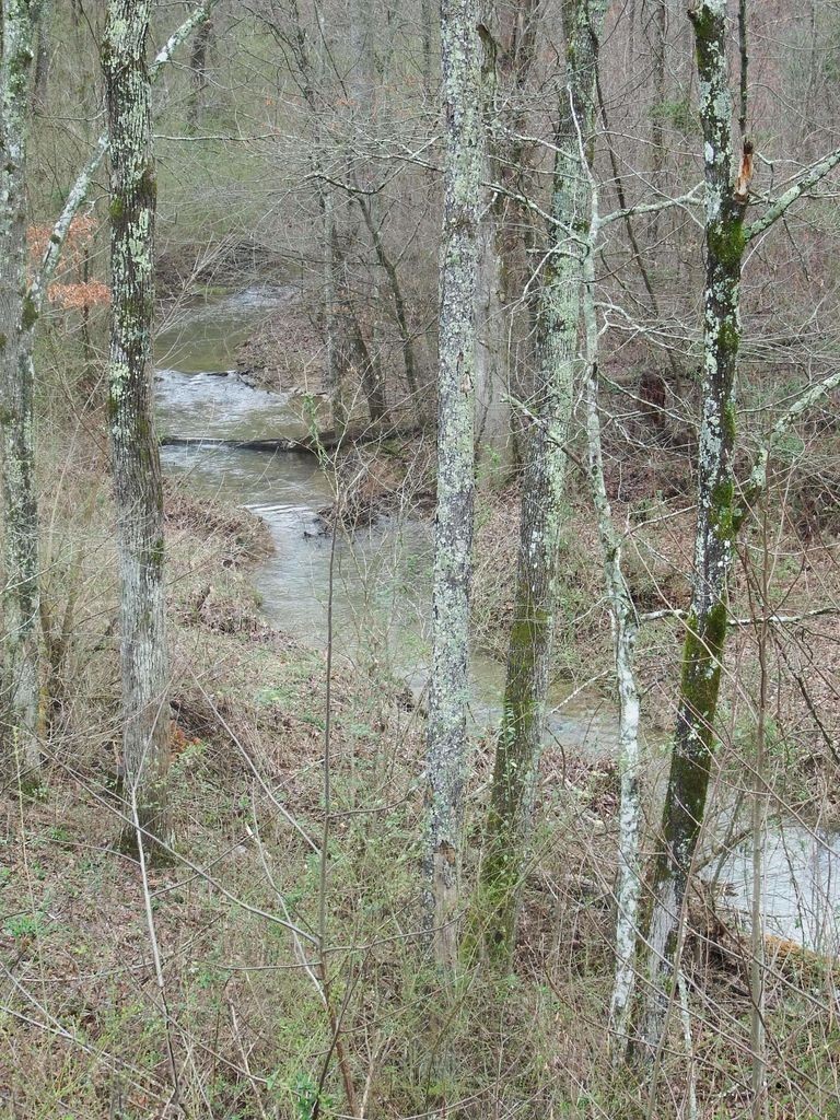 0 Main St Property Photo 5