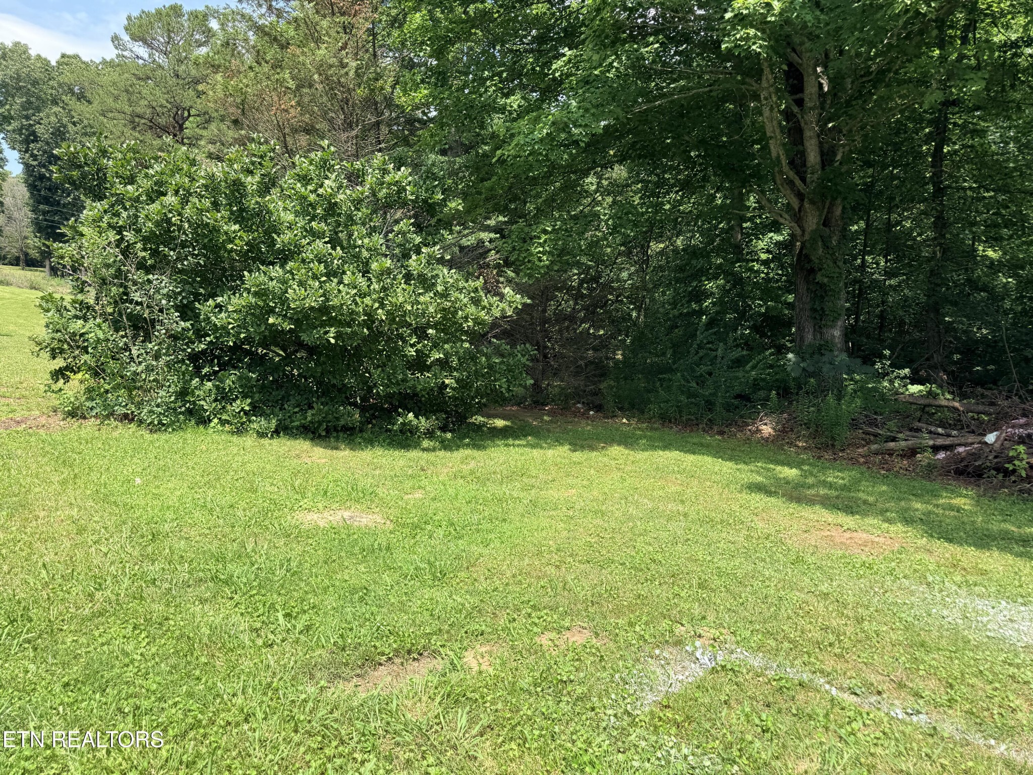 1035 Star Point Rd Property Photo 18