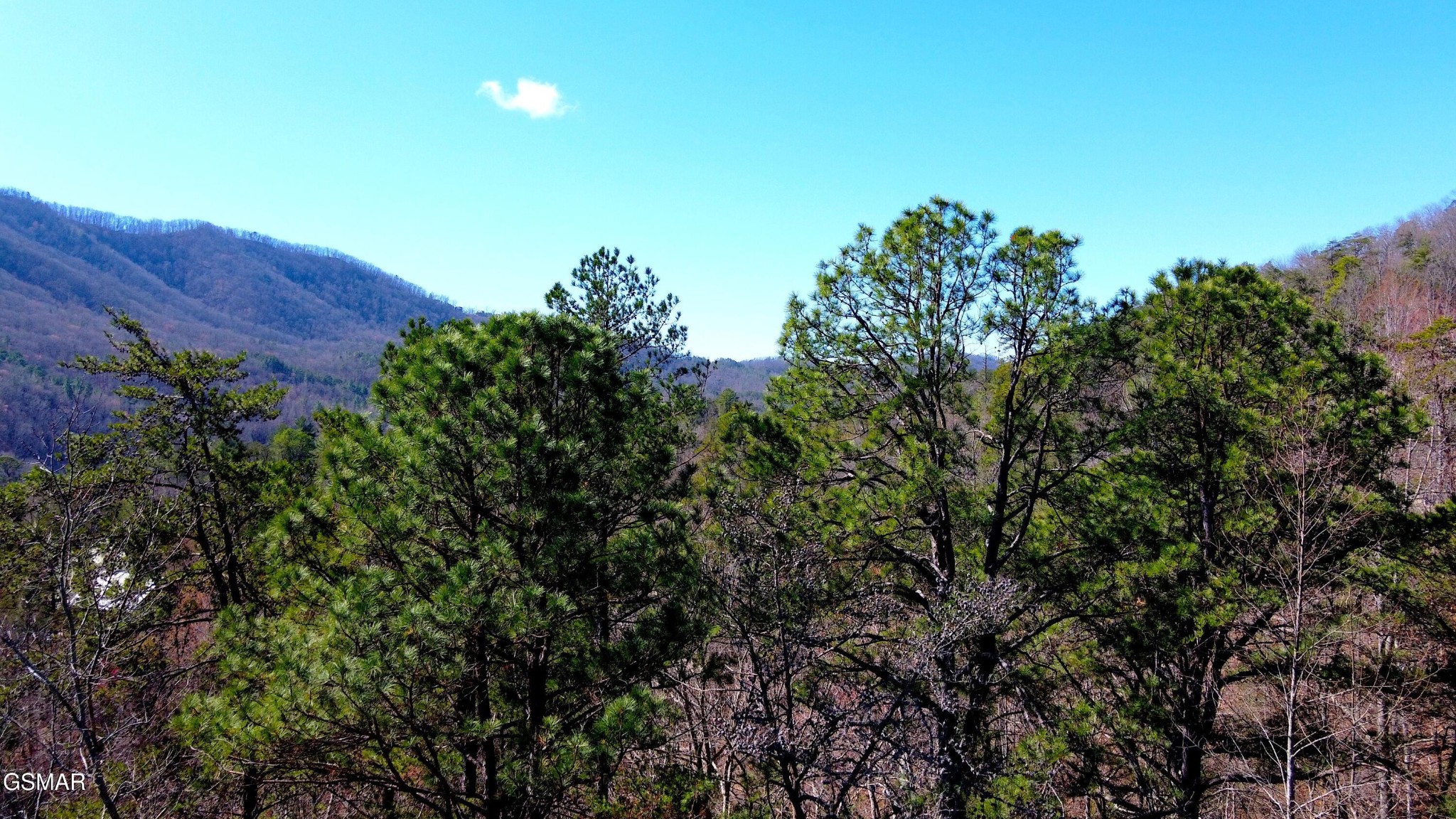 4 Walden Ridge Road Property Photo 1