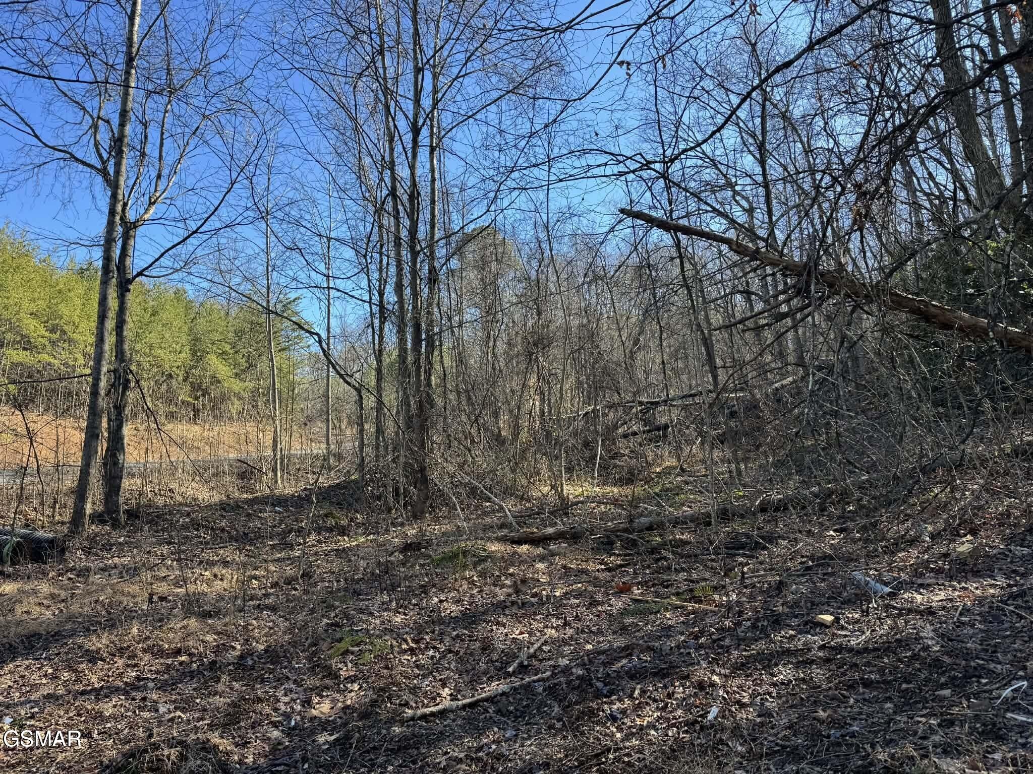 27 Blue Springs Way Property Photo 1