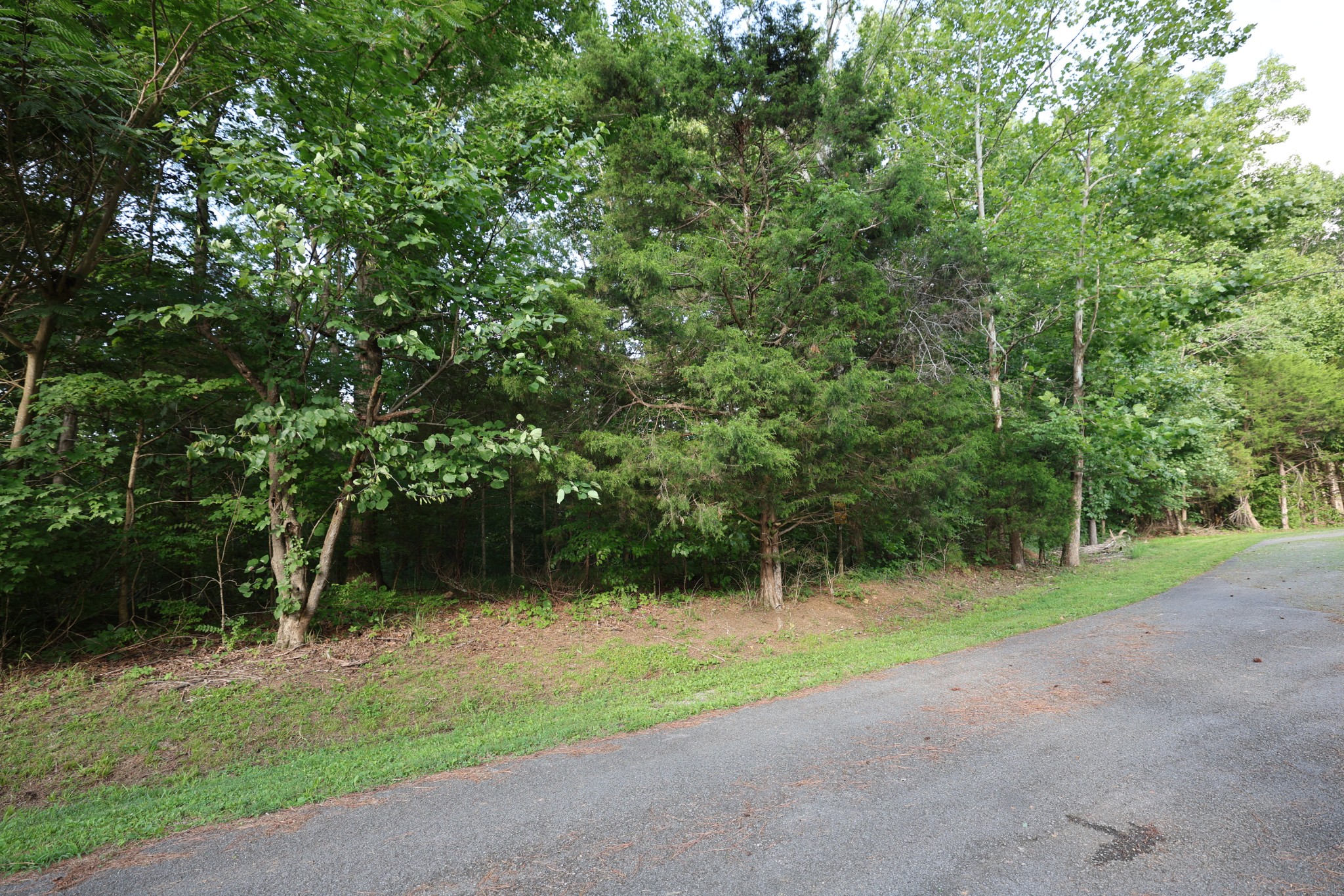 21 Holcomb Cir Property Photo 1