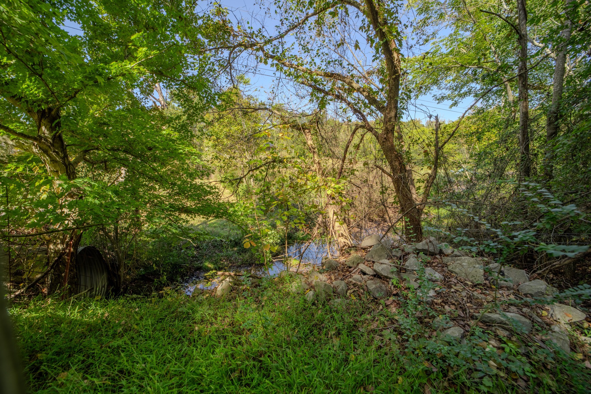 4326 Budds Creek Rd Property Photo 55