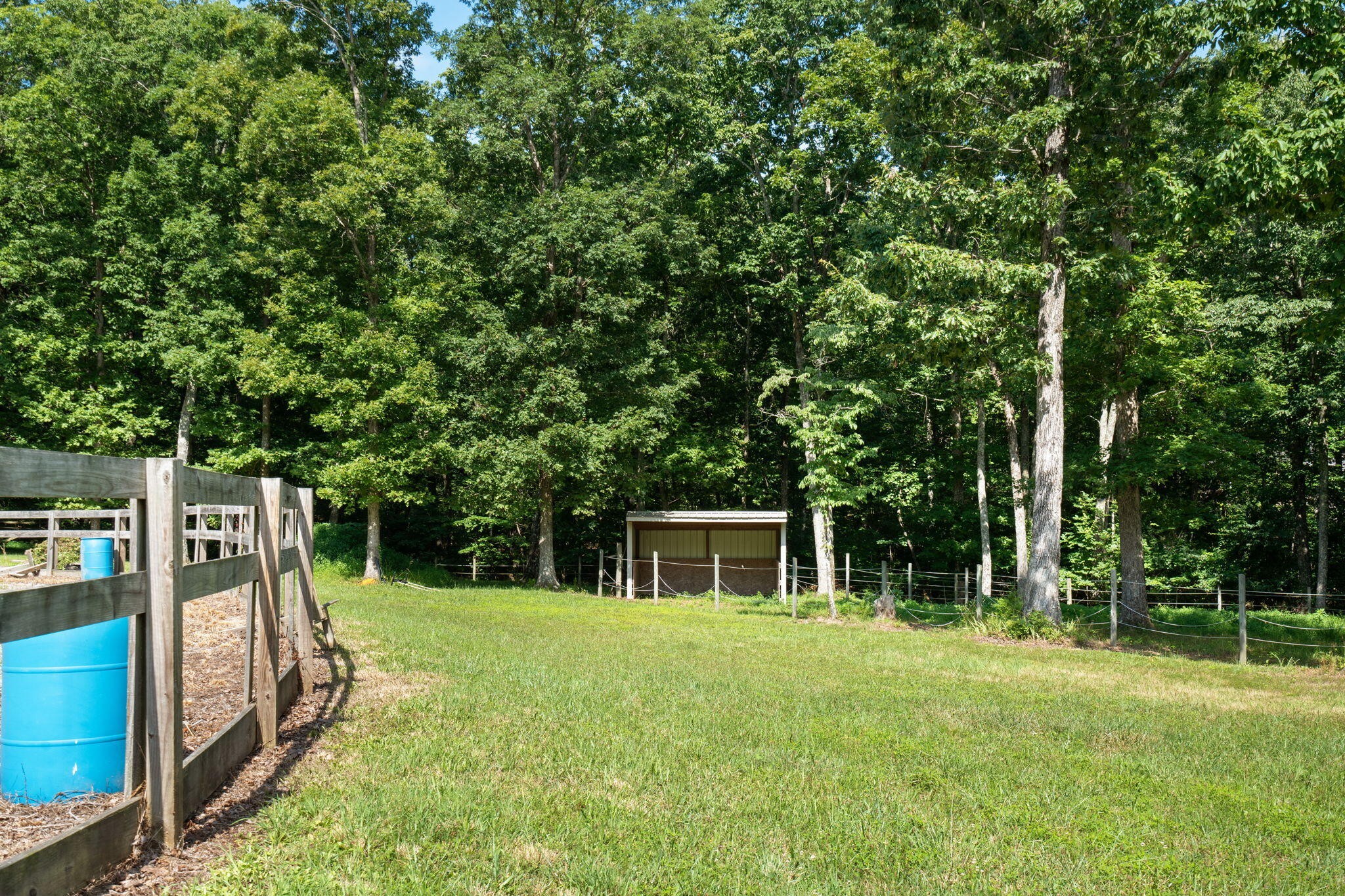 3517 Henson Gap Road Property Photo 36