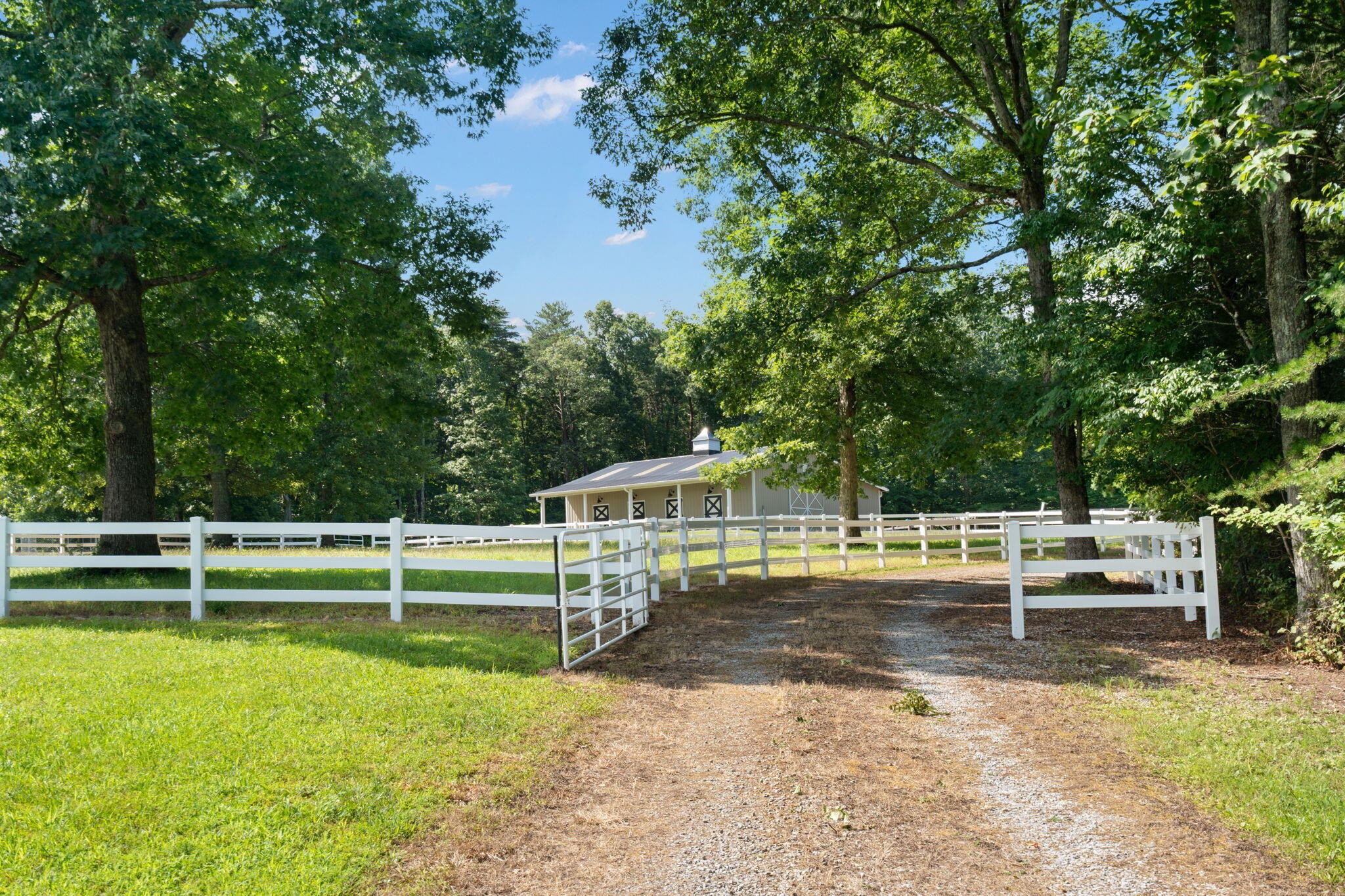 3517 Henson Gap Road Property Photo 38