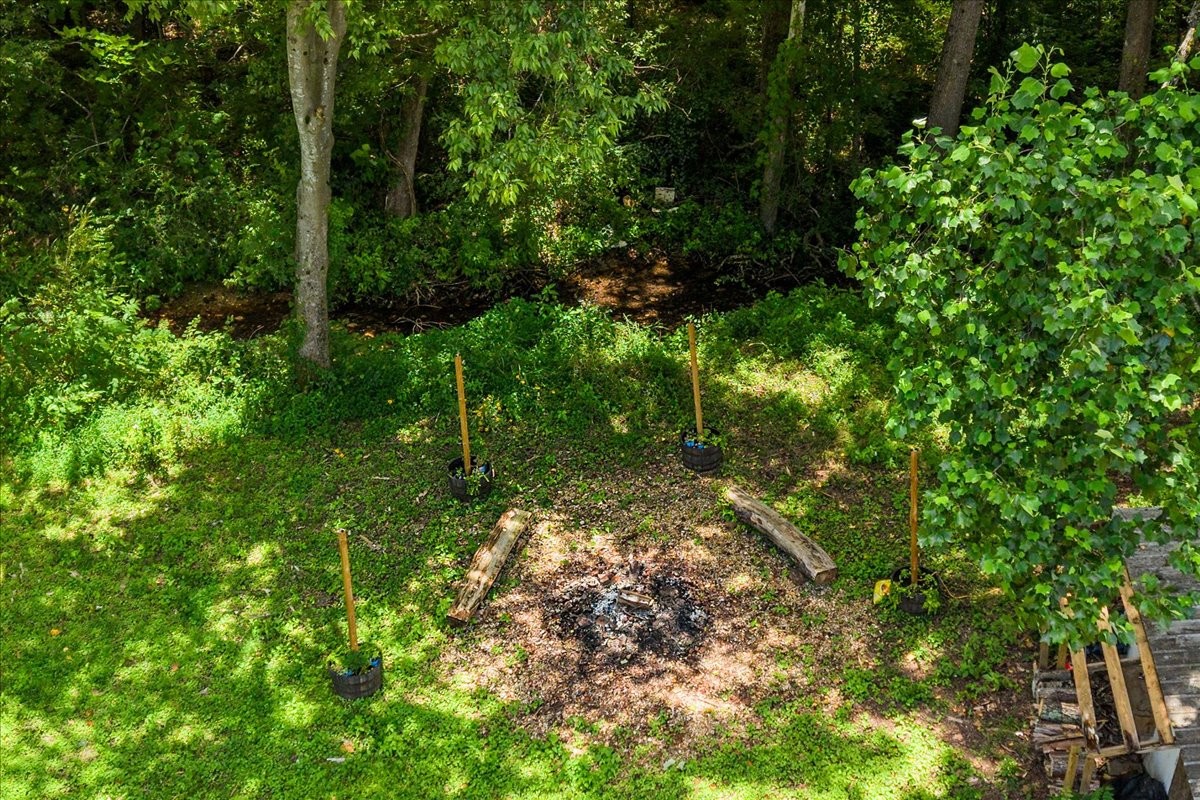1227 Brushy Rd Property Photo 45