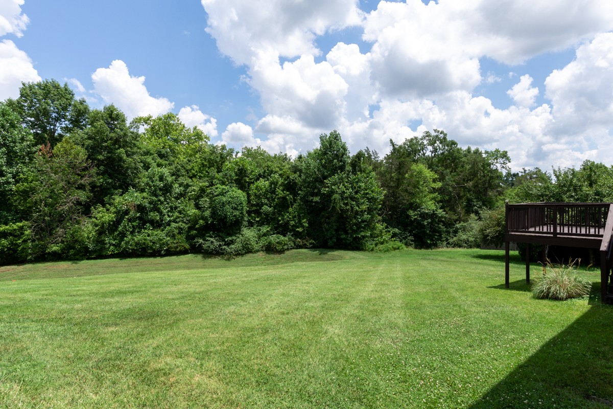 157 Blackpool Dr Property Photo 39
