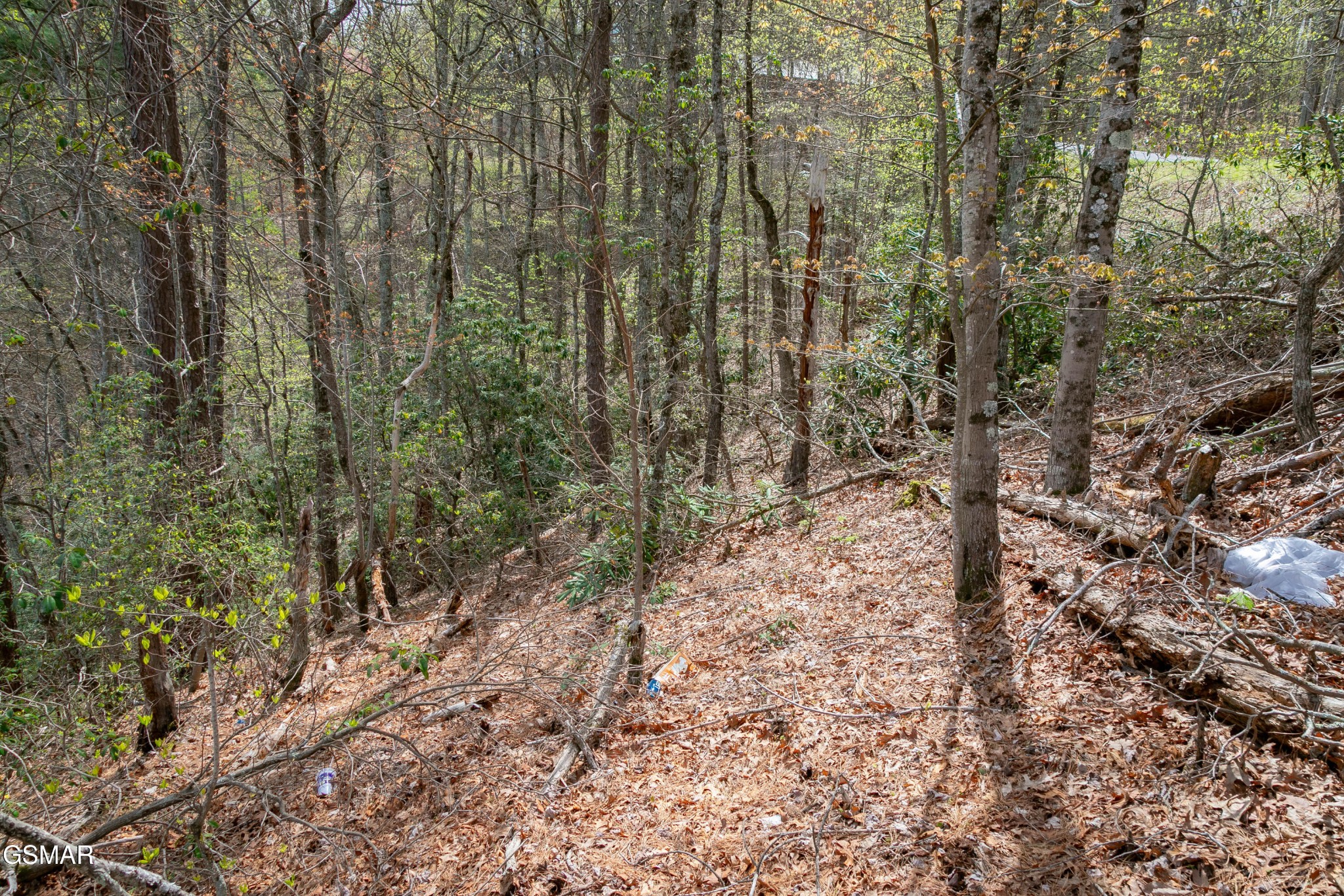 3059 Perry Circle Lane Property Photo 57