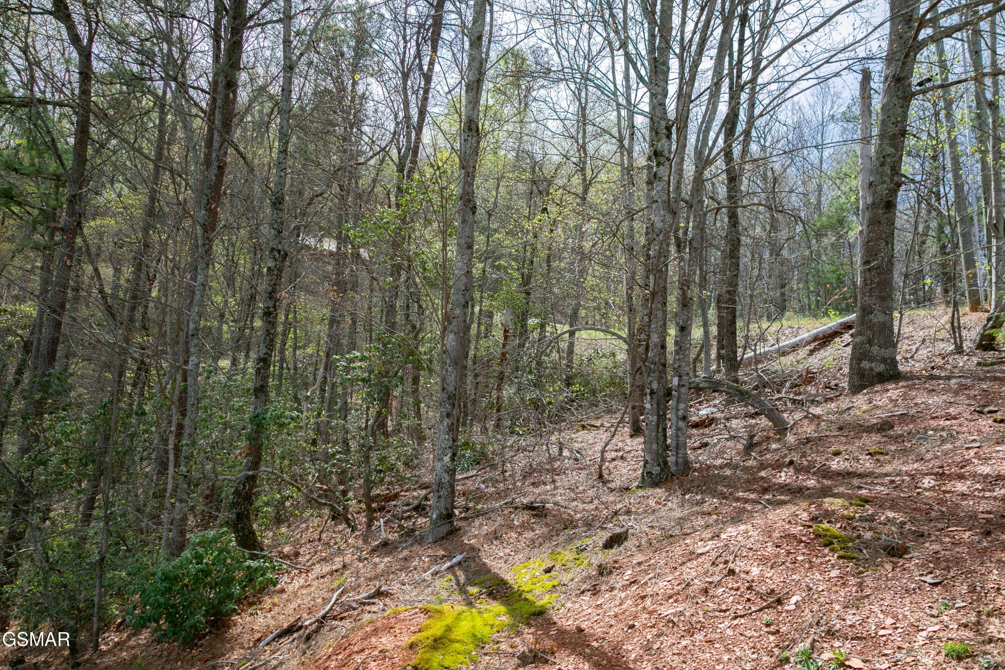 3059 Perry Circle Lane Property Photo 58