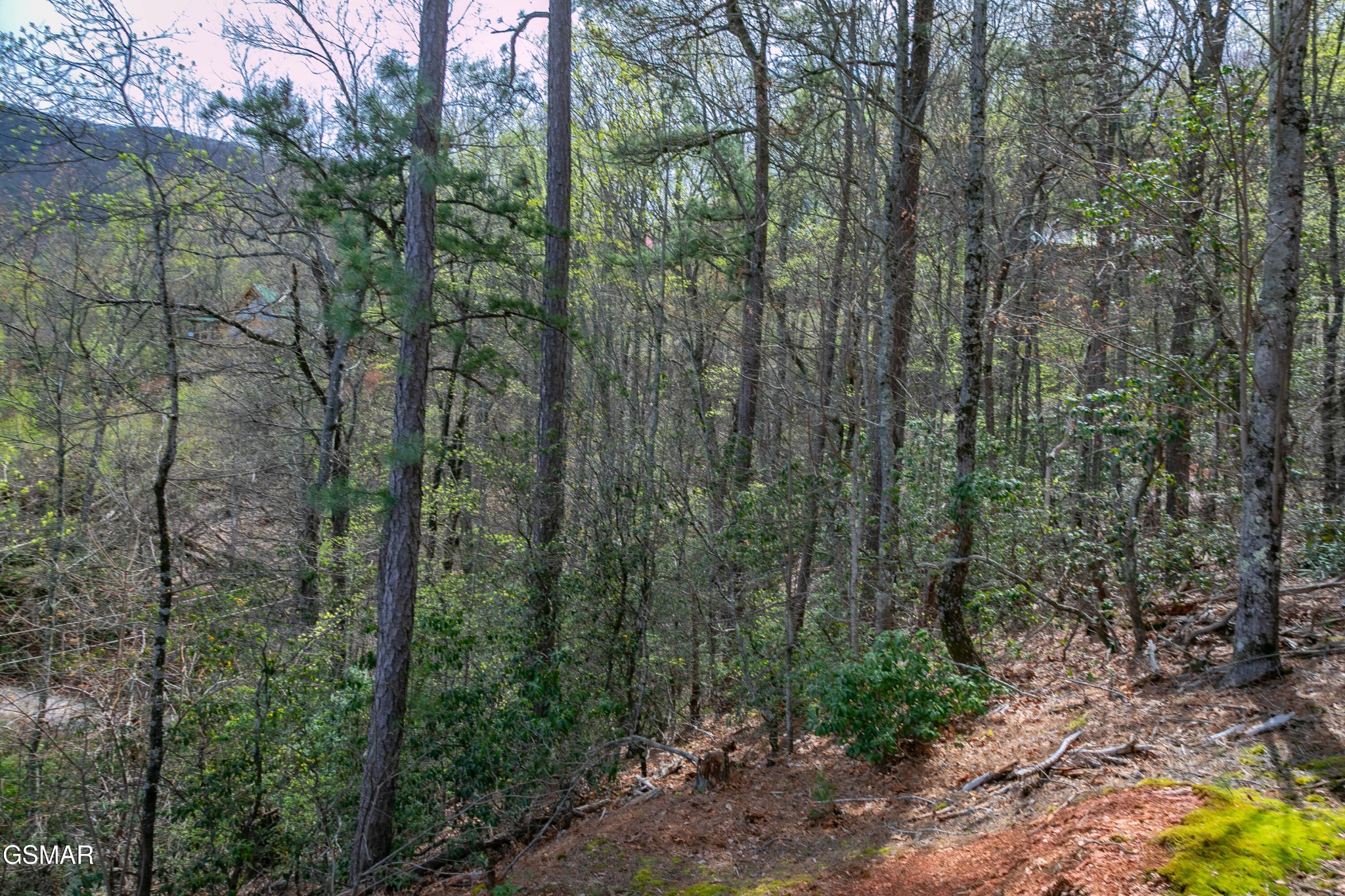 3059 Perry Circle Lane Property Photo 59