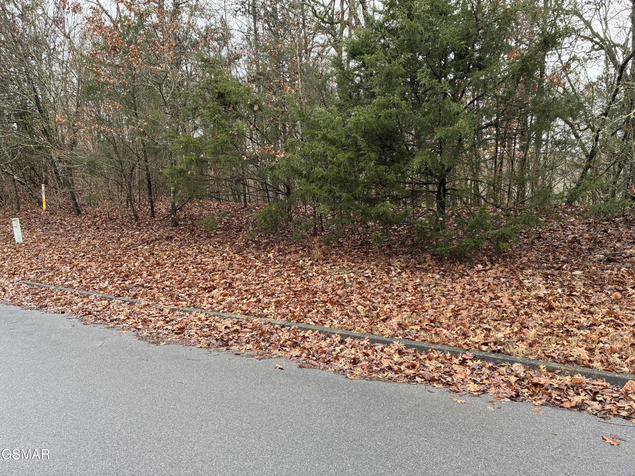 0 Longspur Trl Trail Property Photo 1