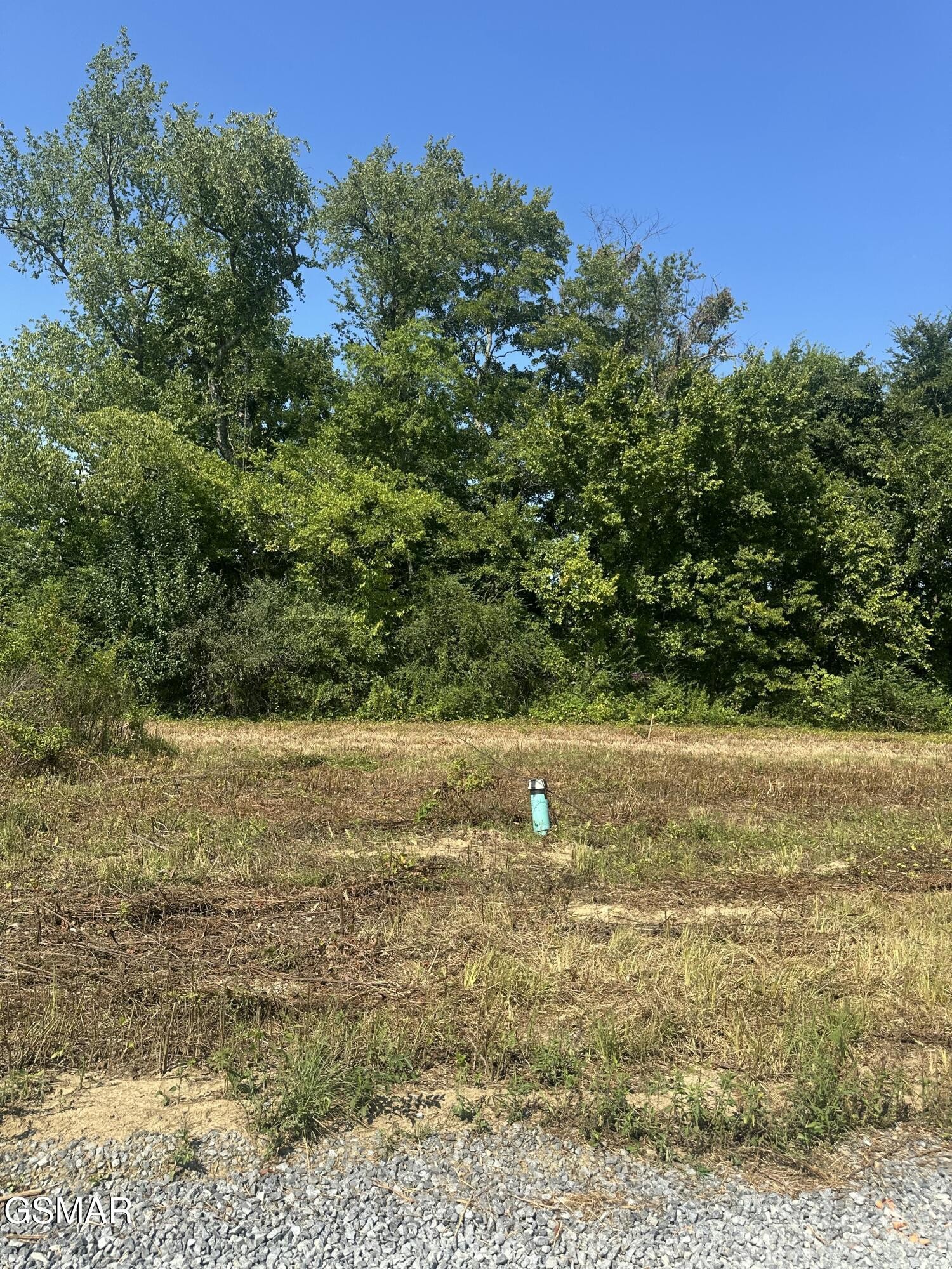 628 Snowflower Circle Property Photo 2
