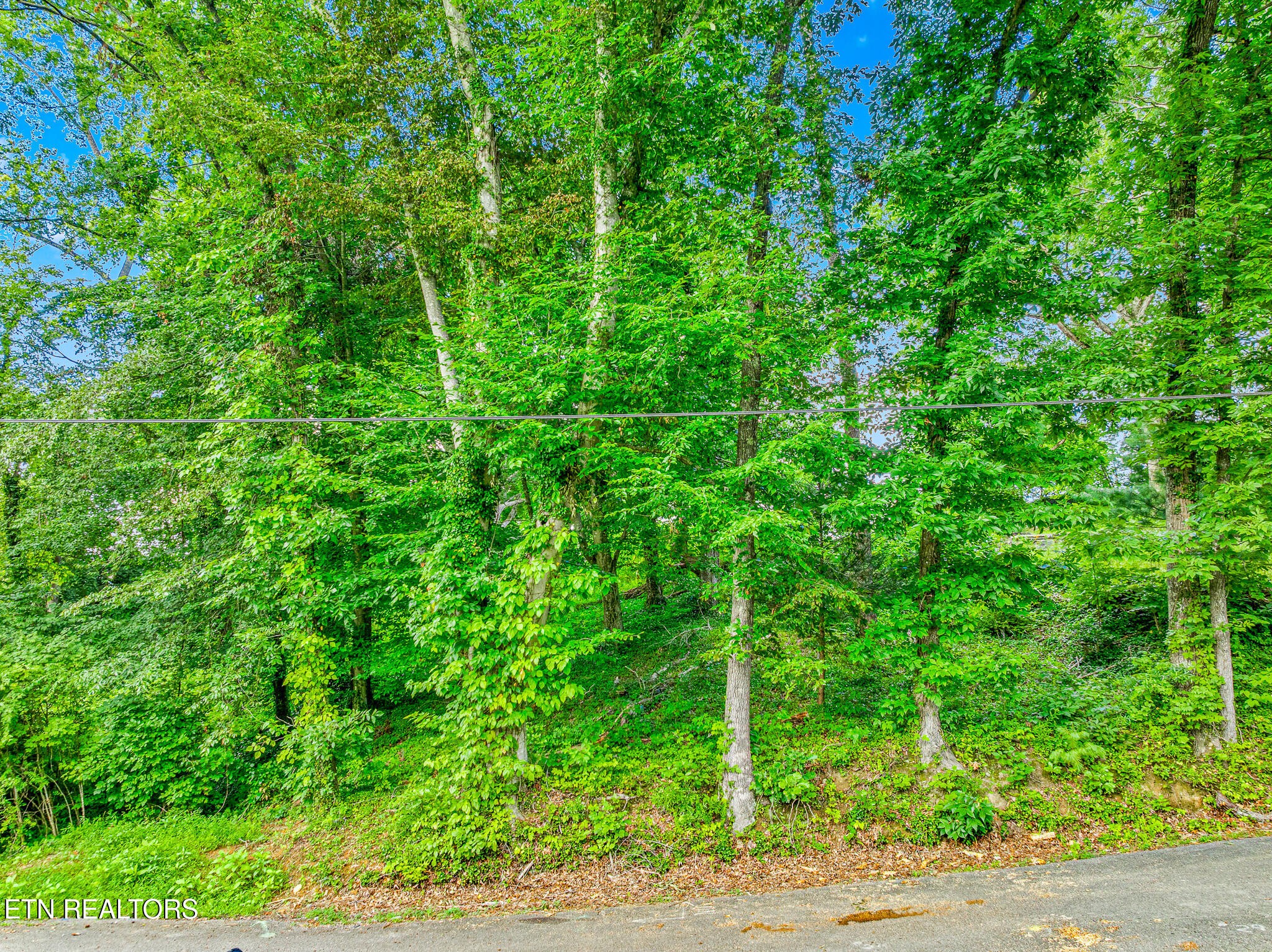 278 Harvest St Property Photo 1