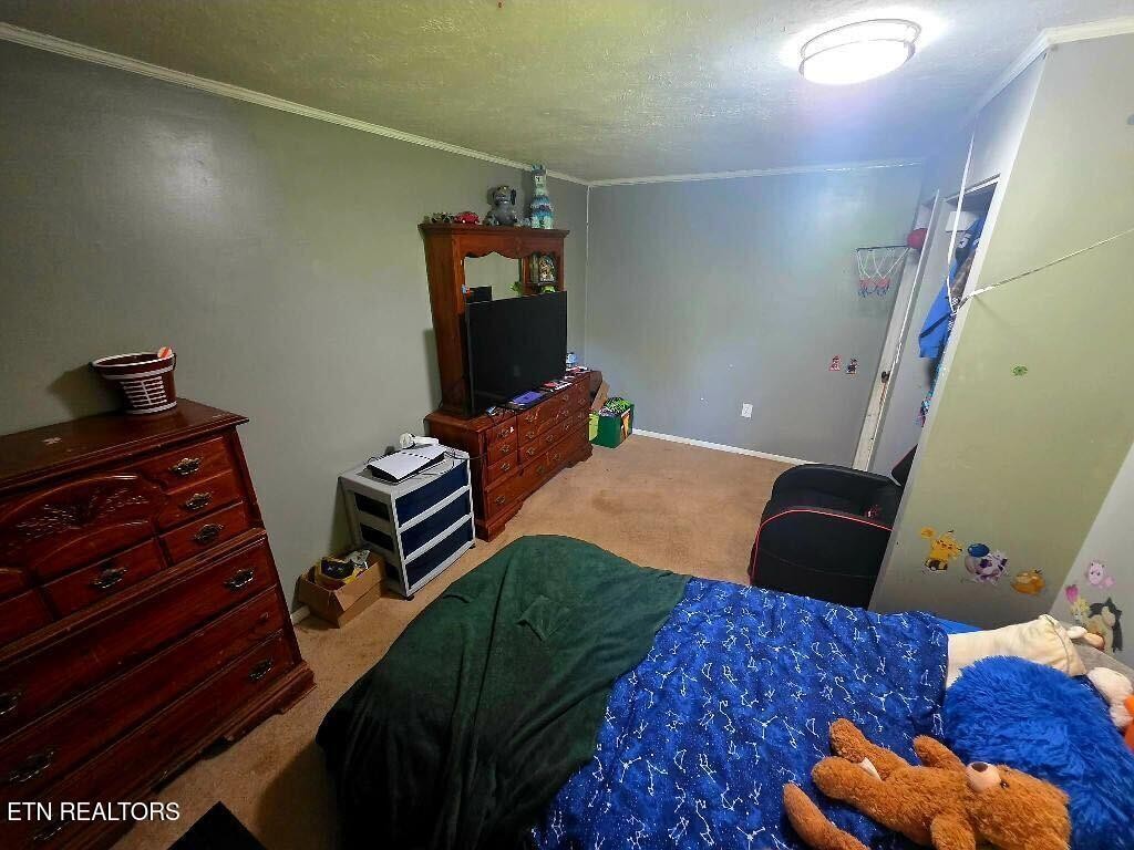 209 Crawford St Property Photo 14