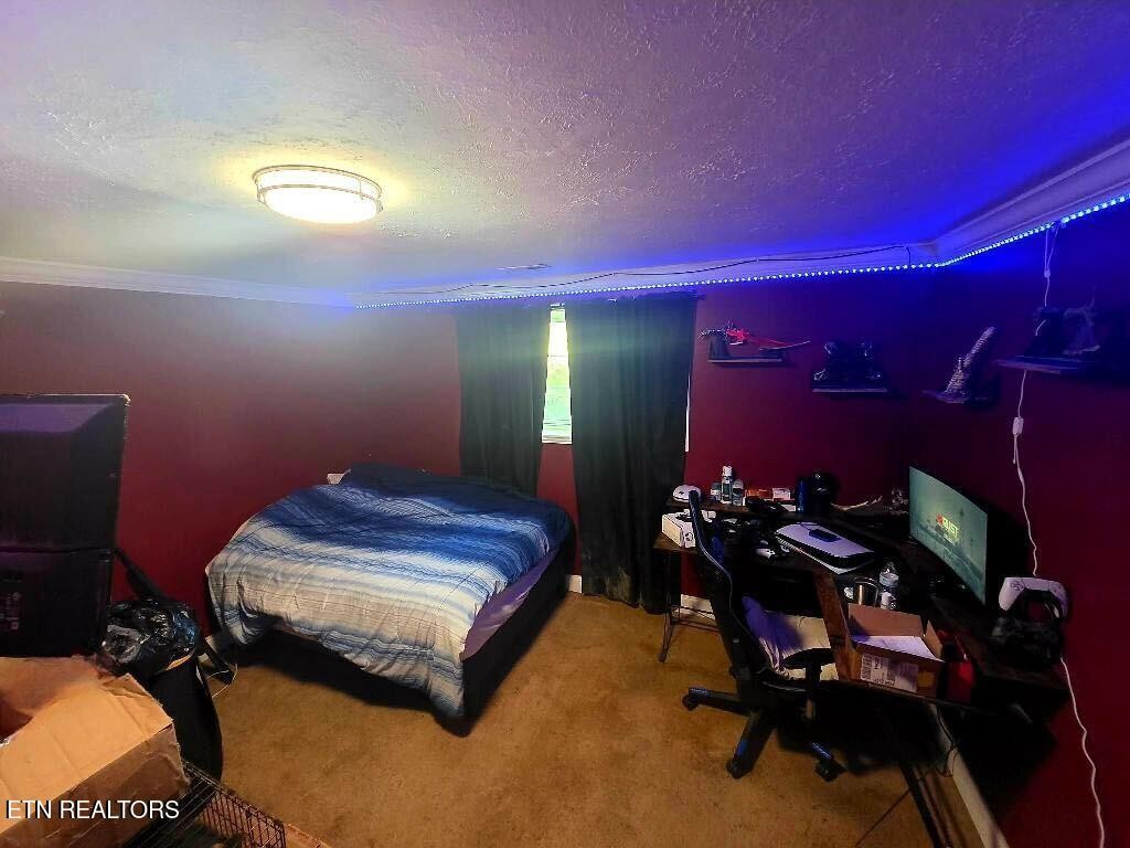 209 Crawford St Property Photo 17