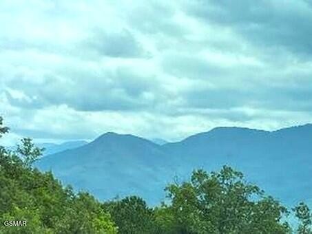 1130 Ski View Drive Property Photo 2