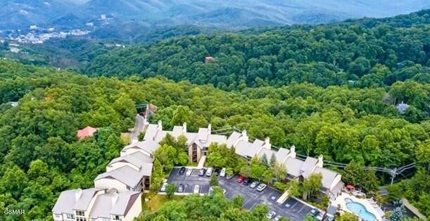 1130 Ski View Drive Property Photo 3