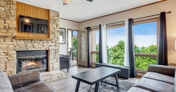 1130 Ski View Drive Property Photo 4