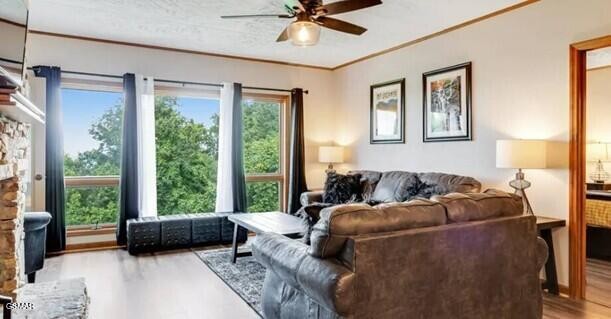 1130 Ski View Drive Property Photo 6