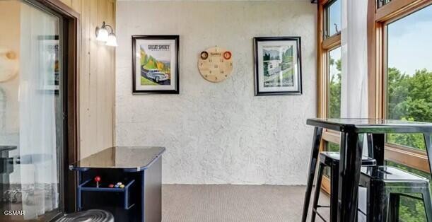 1130 Ski View Drive Property Photo 24