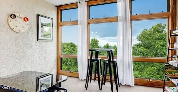 1130 Ski View Drive Property Photo 25