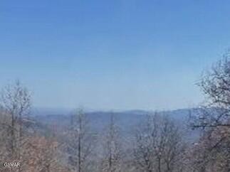1130 Ski View Drive Property Photo 34