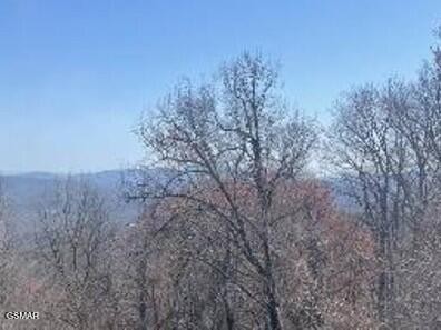 1130 Ski View Drive Property Photo 35