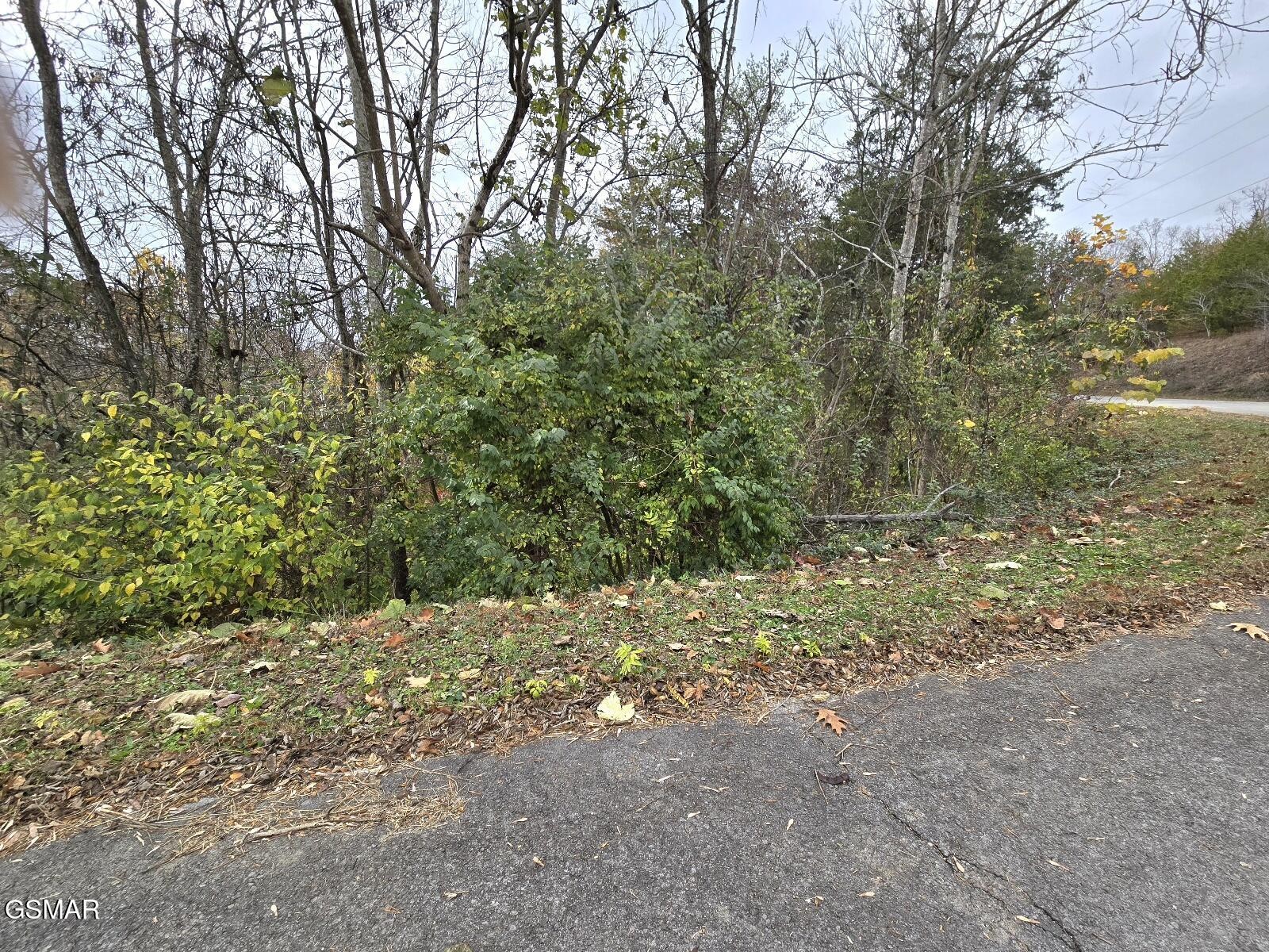 17 Scott Street Property Photo 2