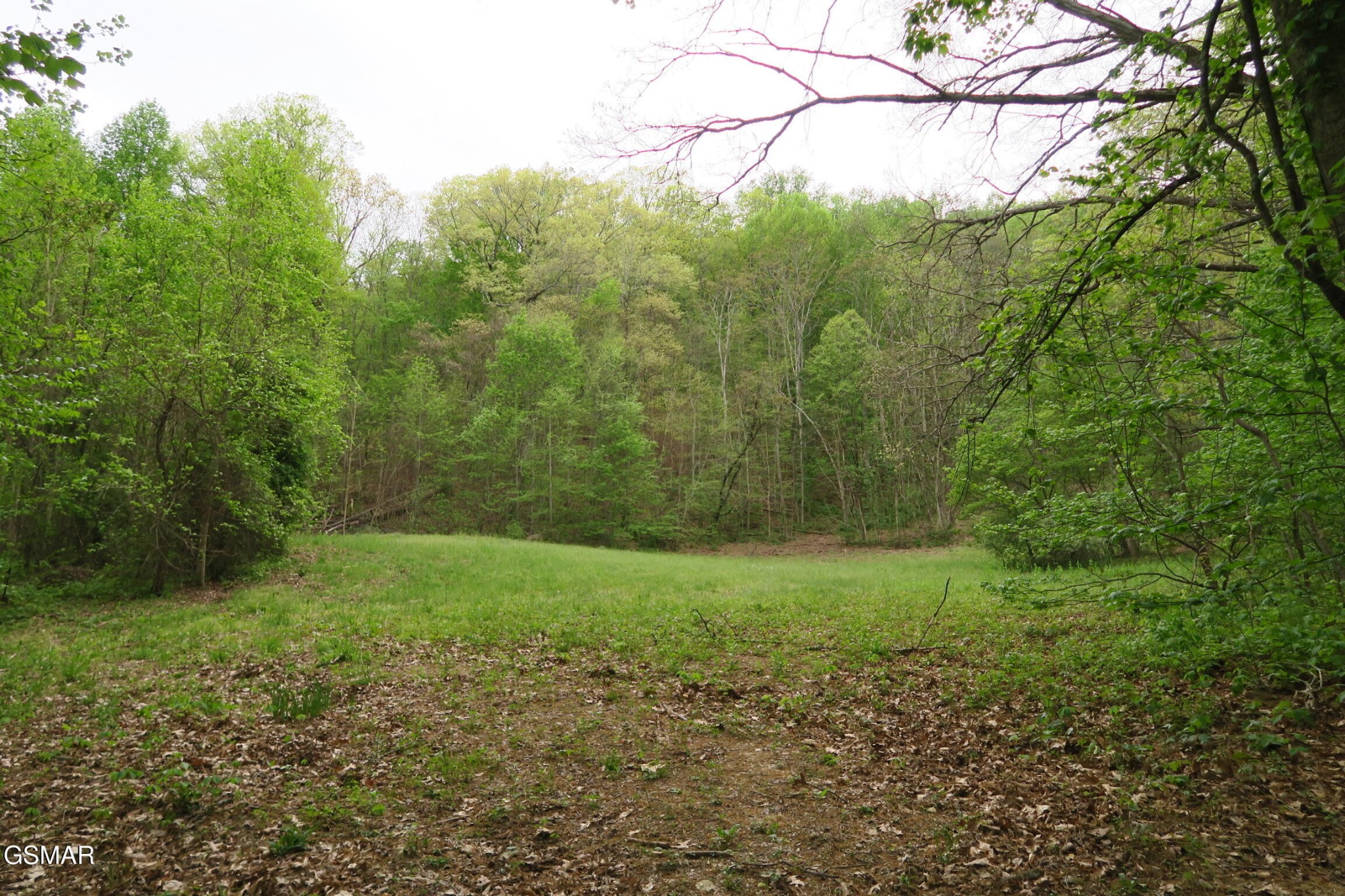 250 Mountain Side Lane