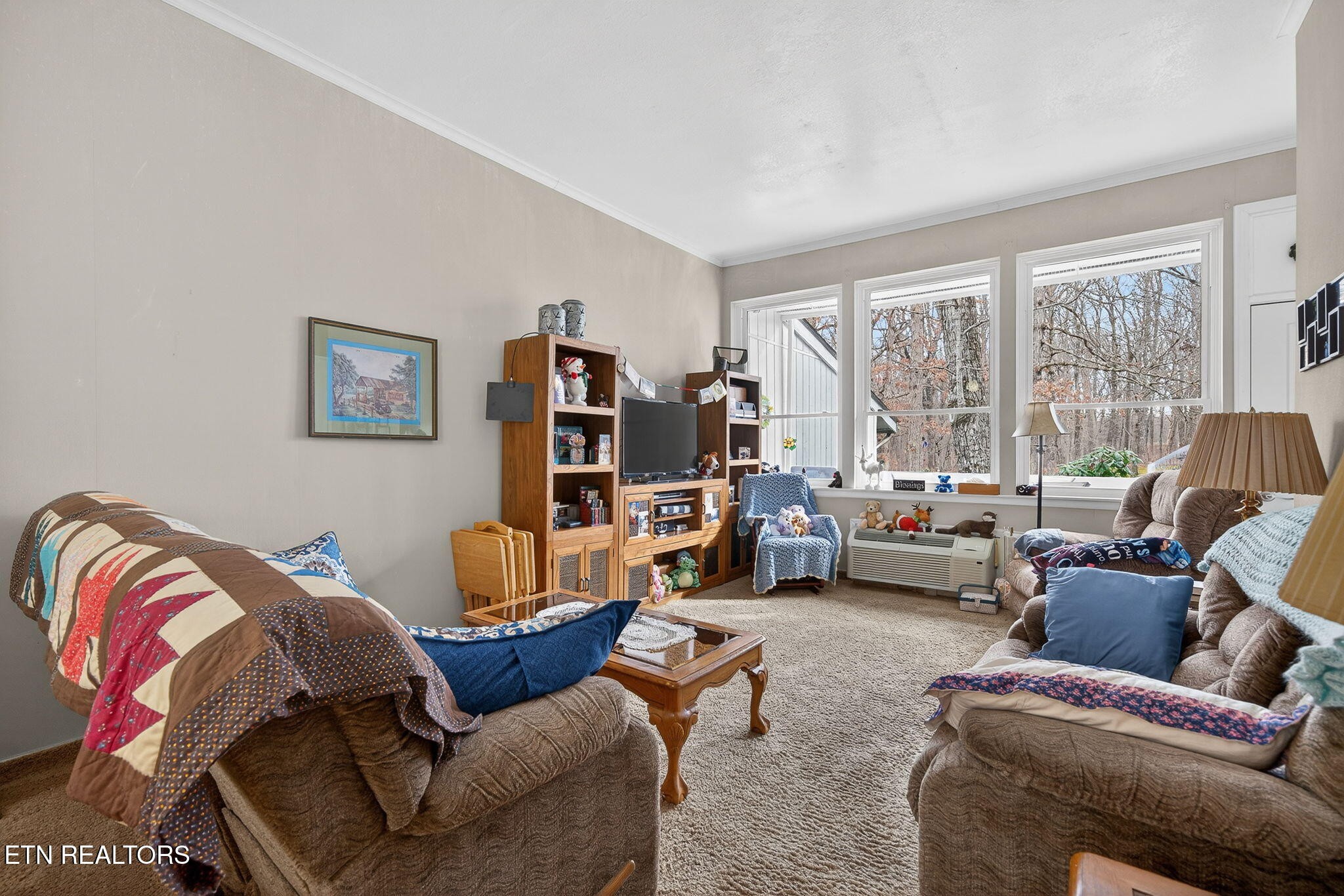 15 Eagle Court Property Photo 7