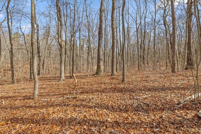 8307 Bear Paw Trail Property Photo 1