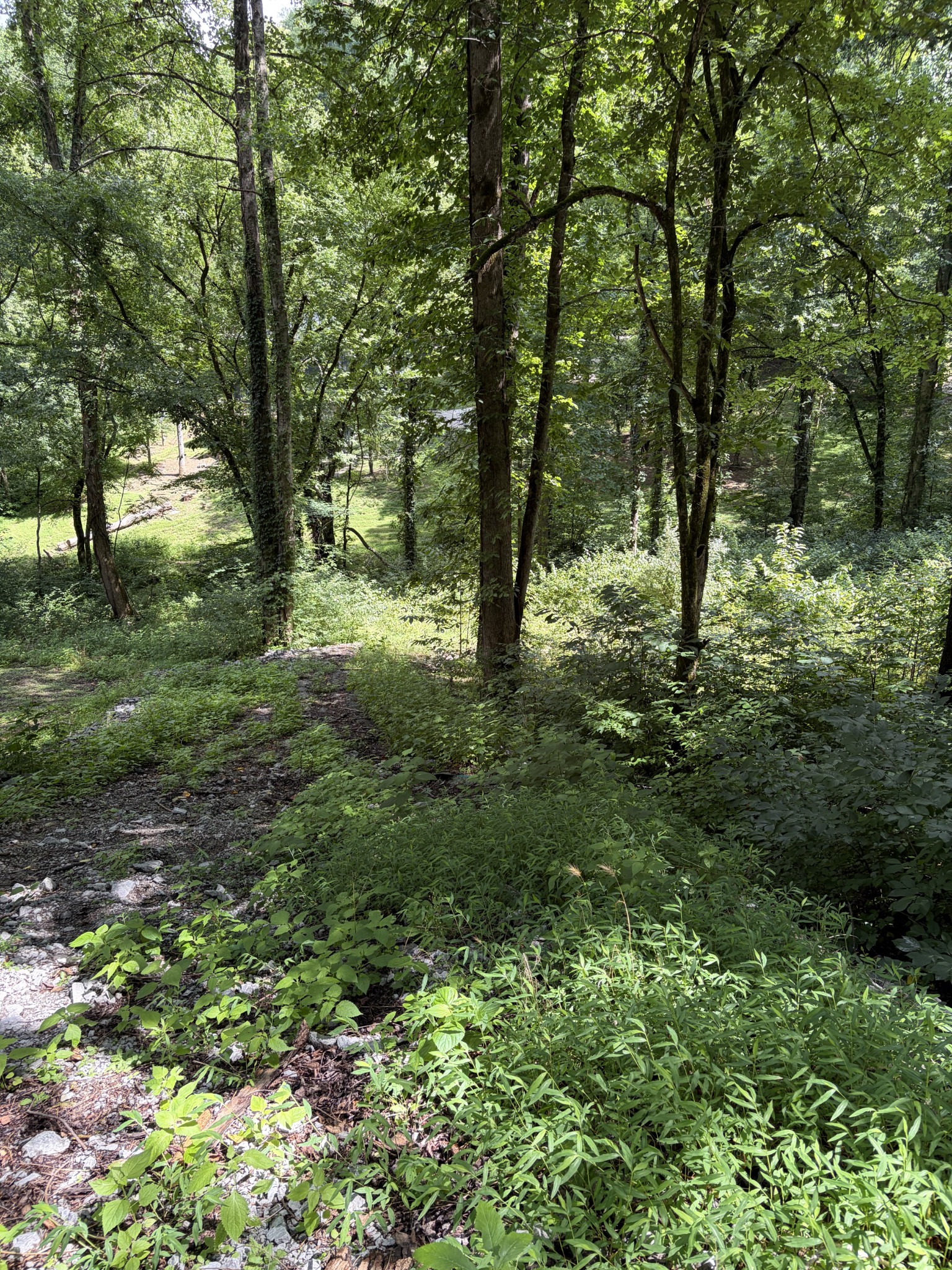 0 Harbor Dr Property Photo 2