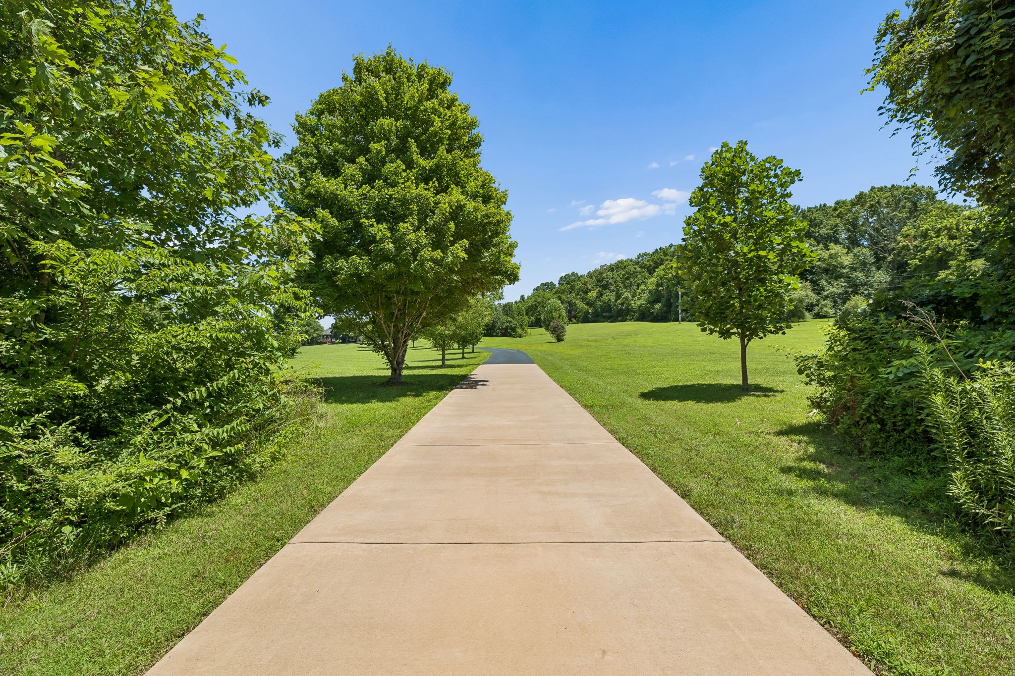 2629 Goose Creek Byp Property Photo 6