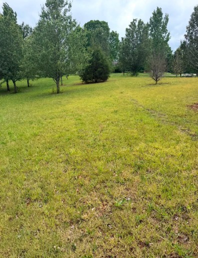 0 Clearwater Square Property Photo 6