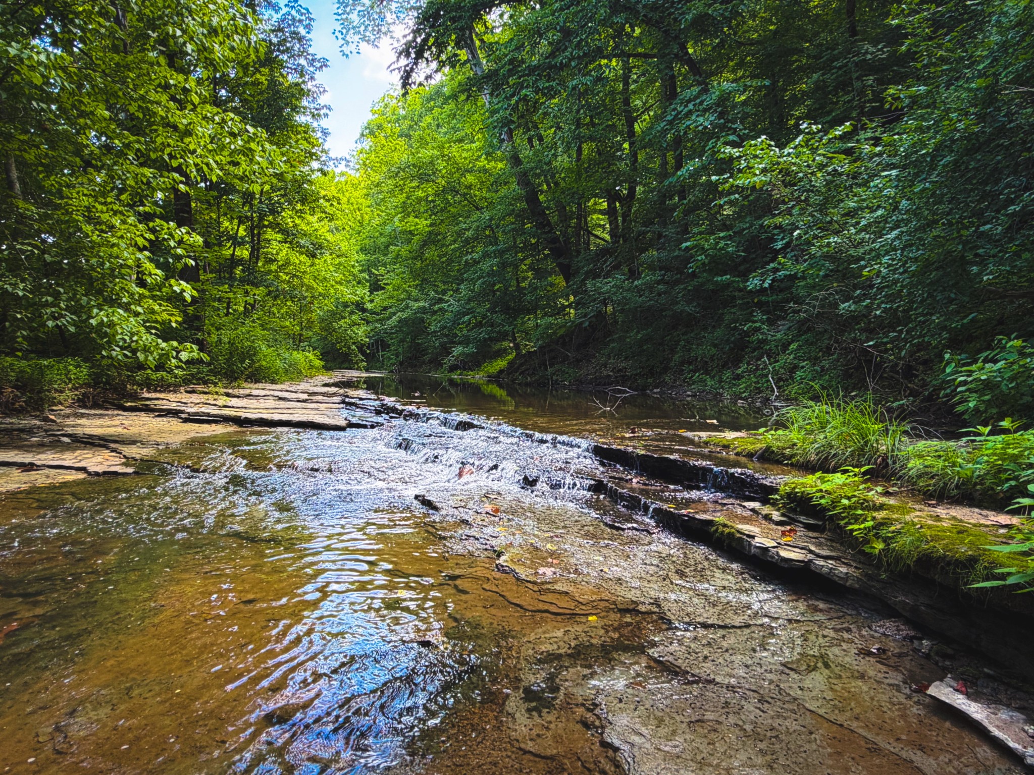 5 N Lick Creek Rd Property Photo 1