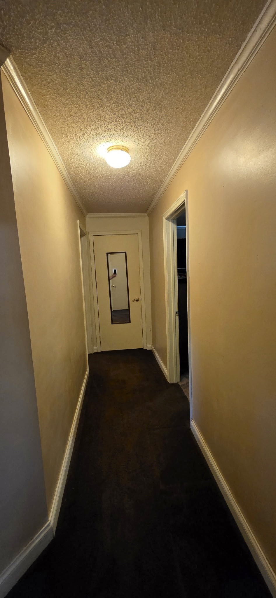 153 Stigall St Property Photo 8