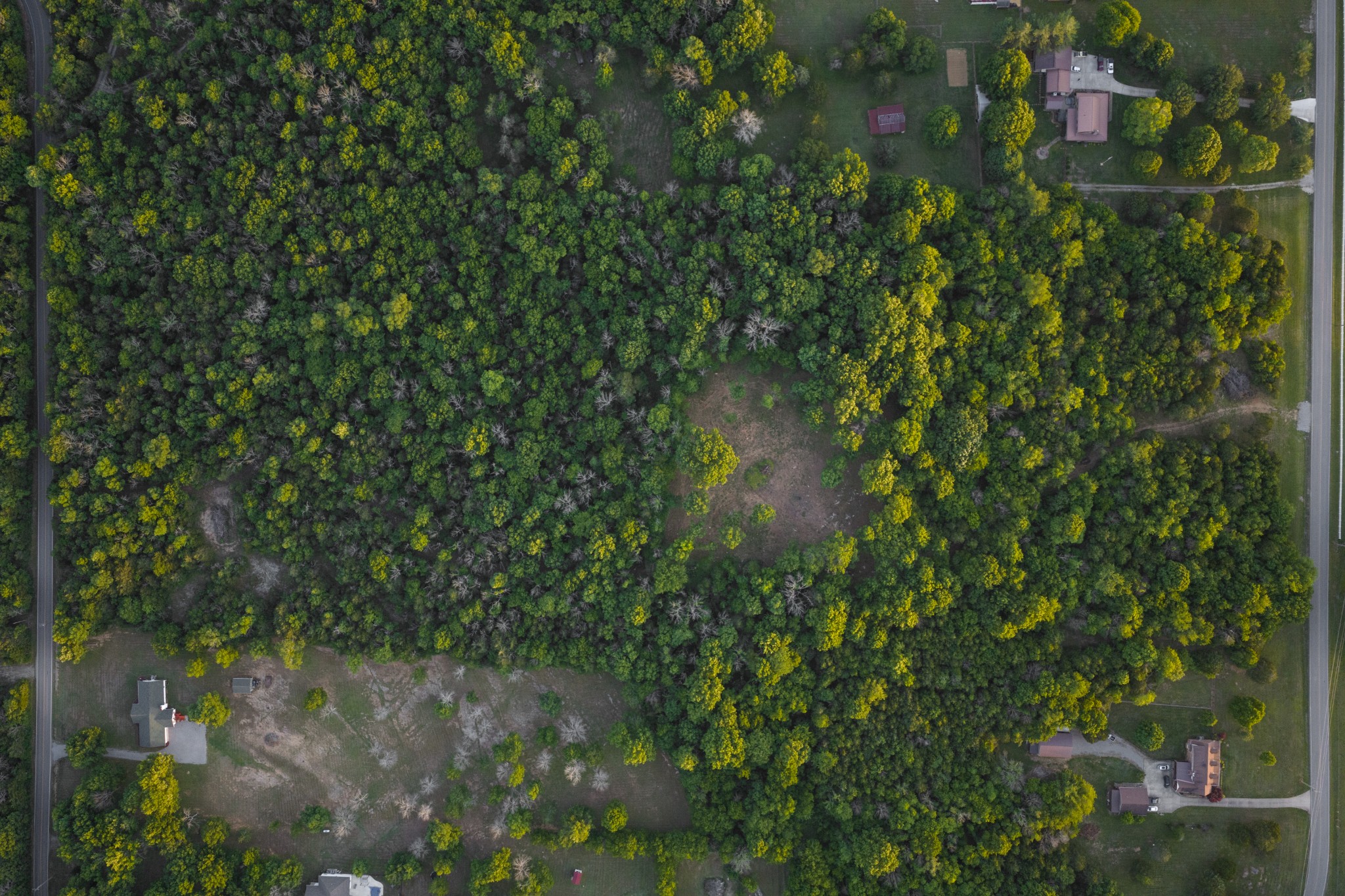0 Fellowship Rd Property Photo 2