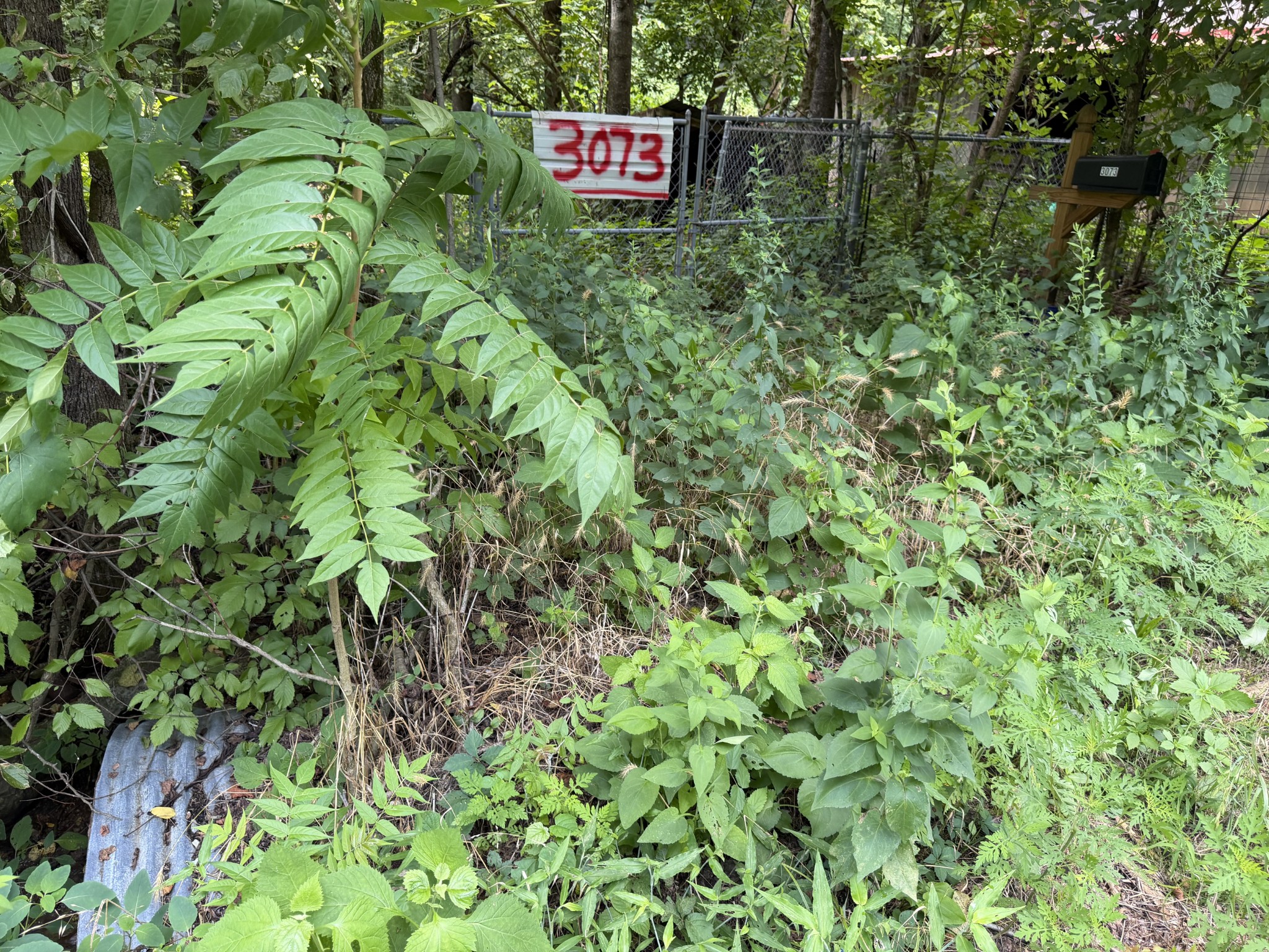 3073 Fly Rd Property Photo 4