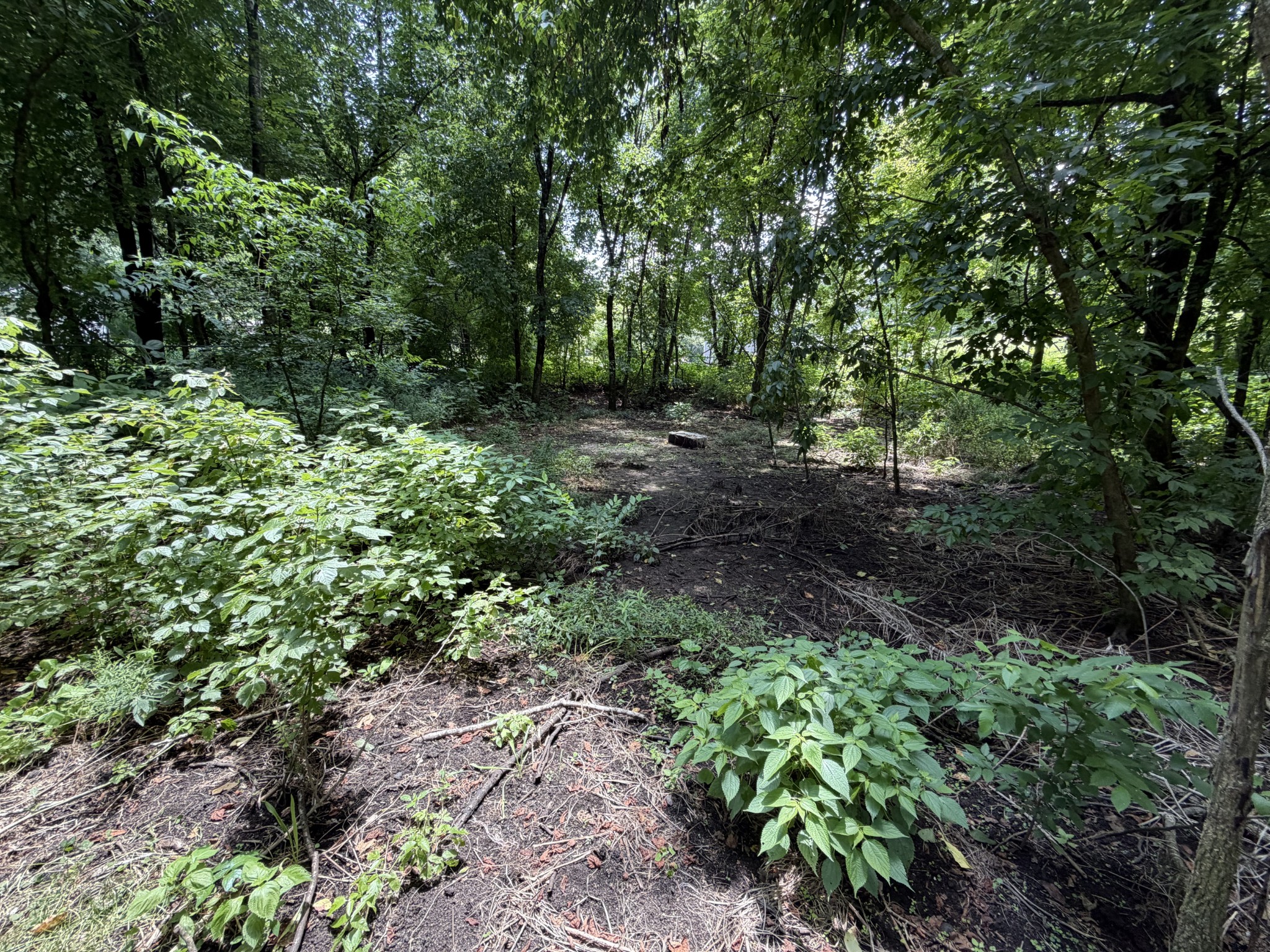 3073 Fly Rd Property Photo 8