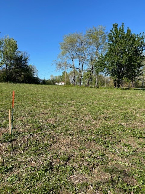 0 Rambaugh Property Photo 19