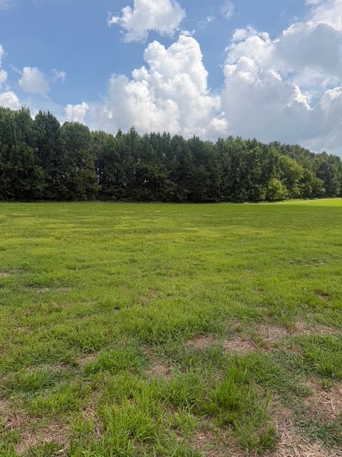 0 Friendship Road Property Photo 1