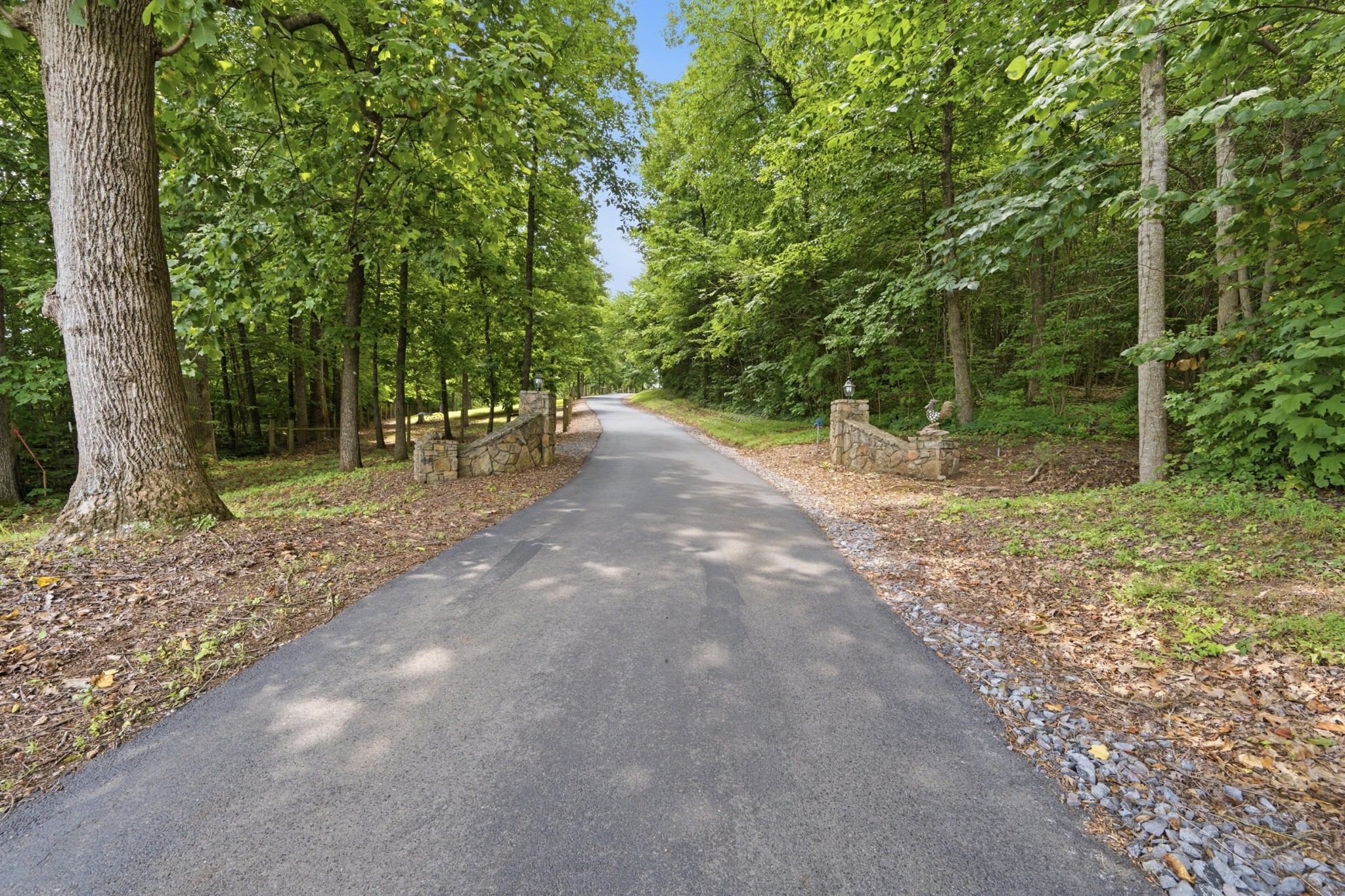 3922 Highway 2 Property Photo 19