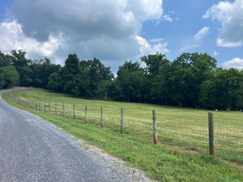 3922 Highway 2 Property Photo 84