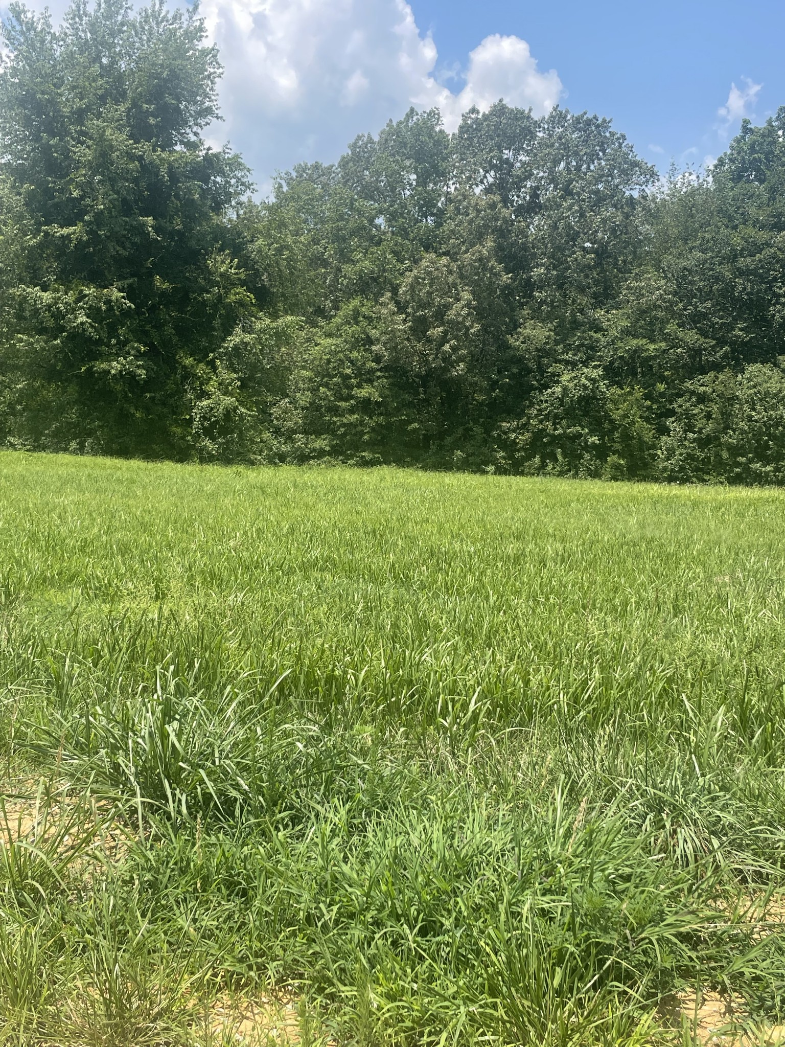 0 Summer Lake Property Photo 1