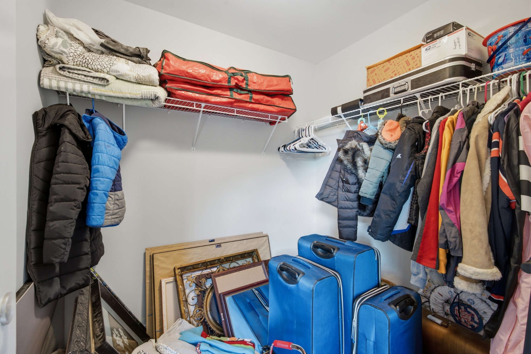 2024 Albatross Way Property Photo 41