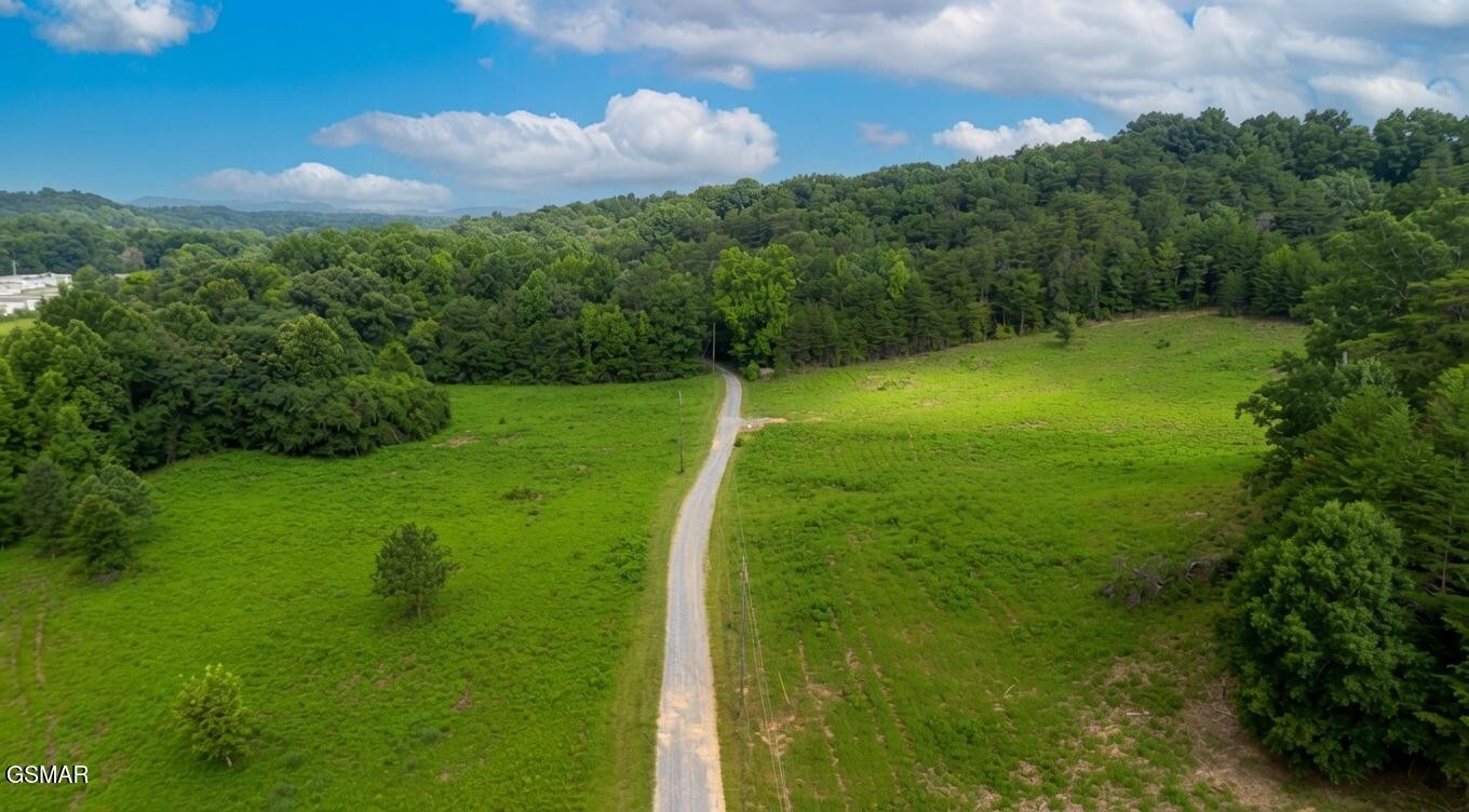 0 Rhyne Camp Road Property Photo 2